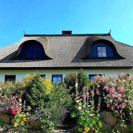 Insel Landhaus Bernstein Vila Gager Exterior foto